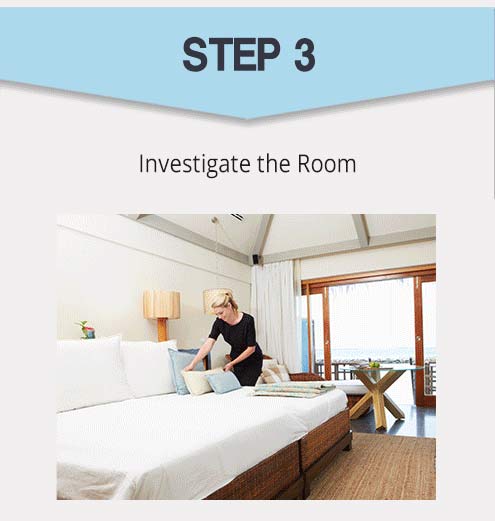 How to check your Hotel room for Bed Bugs | Blog | Linge  