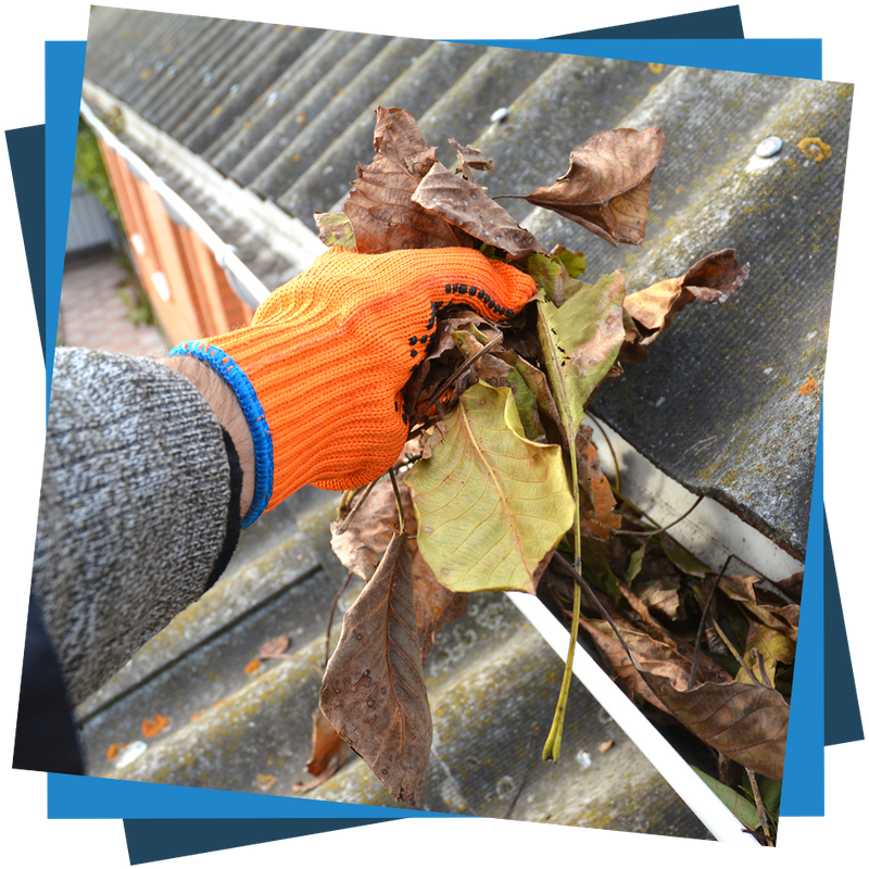 How To Best Clean Your Gutters Safely Using Ladders