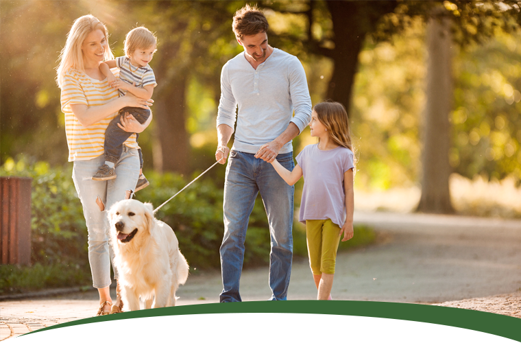 Dog Friendly Holidays In North Yorkshire Cote Ghyll