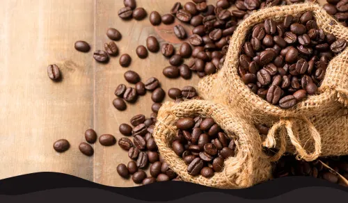 The Best Coffee Beans for Small Cafés: Flavour, Price & Supply Guide