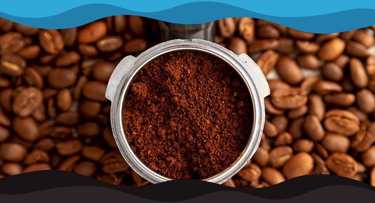 What Makes a Great Coffee Bean for a Small Café?