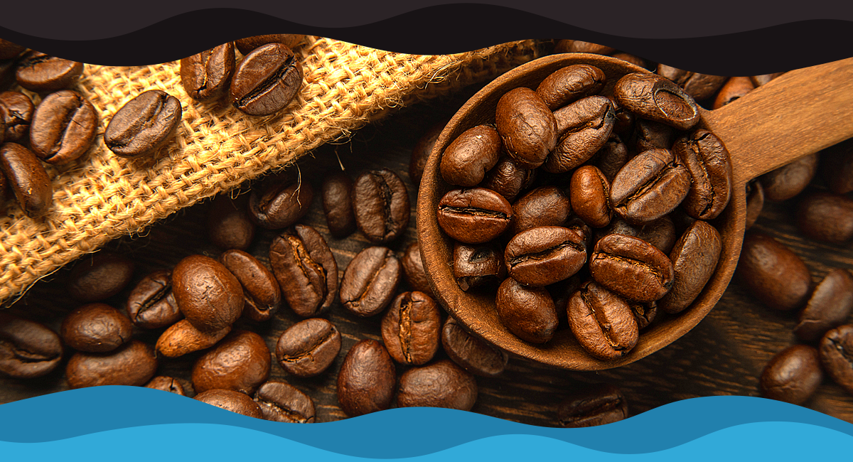 Summary: Finding the Right Coffee Beans for Your Café