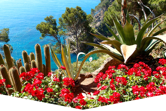 Cap Roig Botanical Garden (Jardí Botànic de Cap Roig)