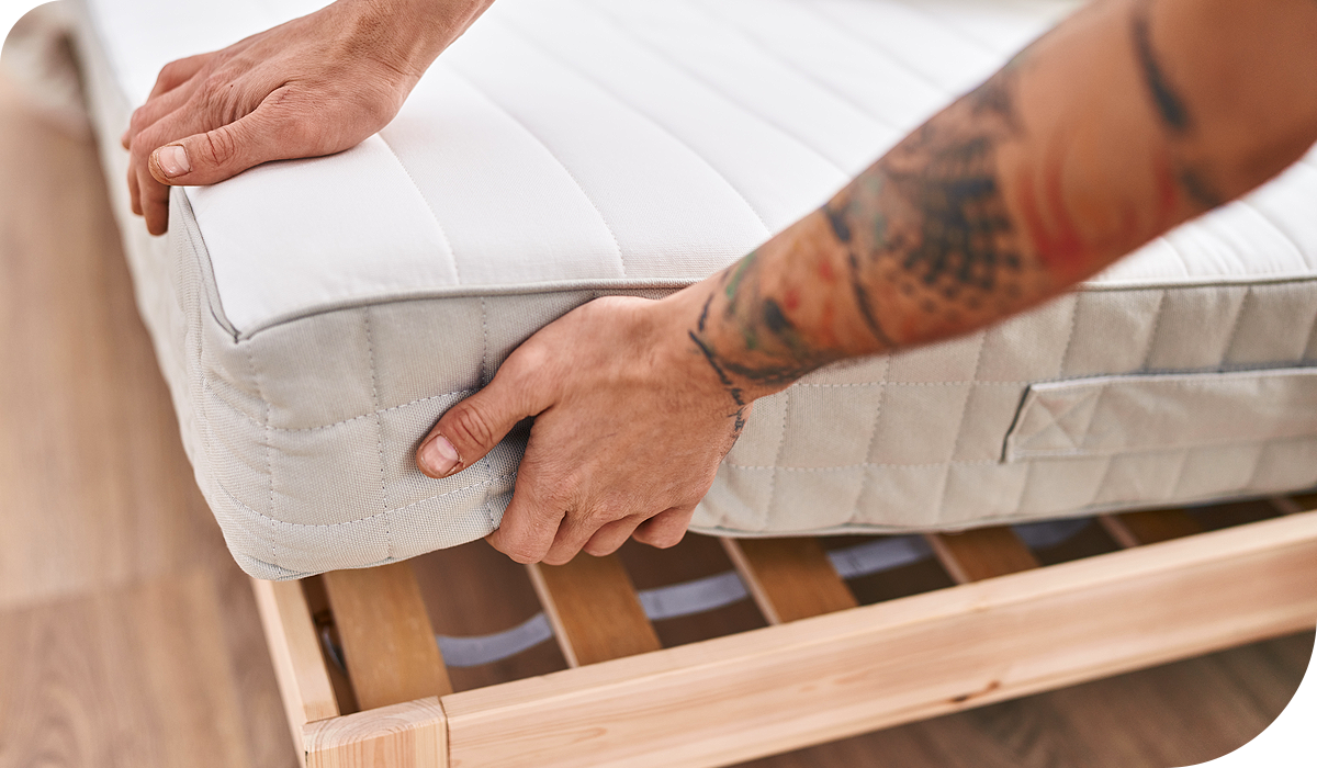 Memory Foam vs. Pocket Sprung vs. Latex: Which is Better for Back Pain?
