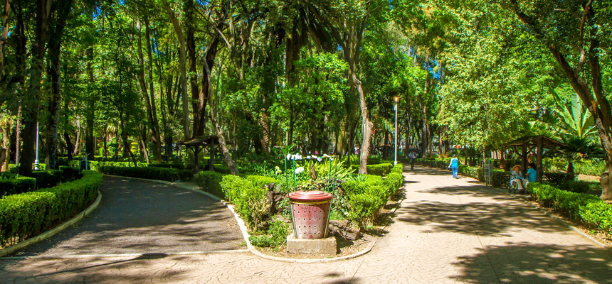 Relax and Unwind at Parque Mexico