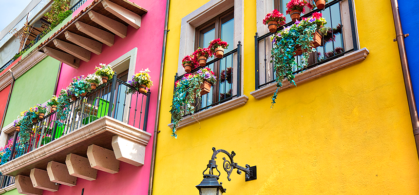 Stroll Through the Trendy Streets of Roma and Condesa