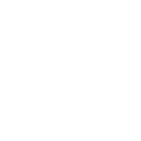 Dominance of Organic Search