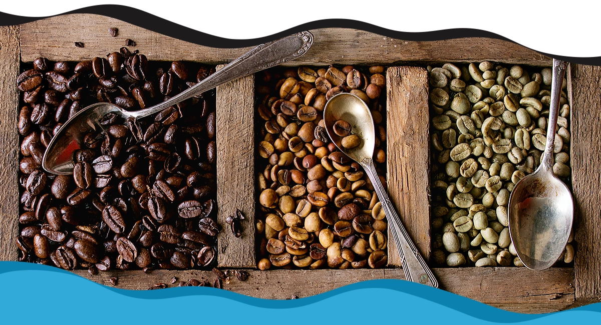 Understanding Coffee Bean Varieties