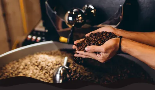 Discount Coffee Beans: How To Find The Best Price Coffee