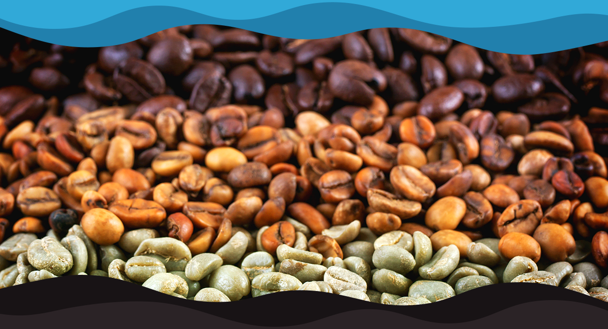 Why Your Bean Choice Matters