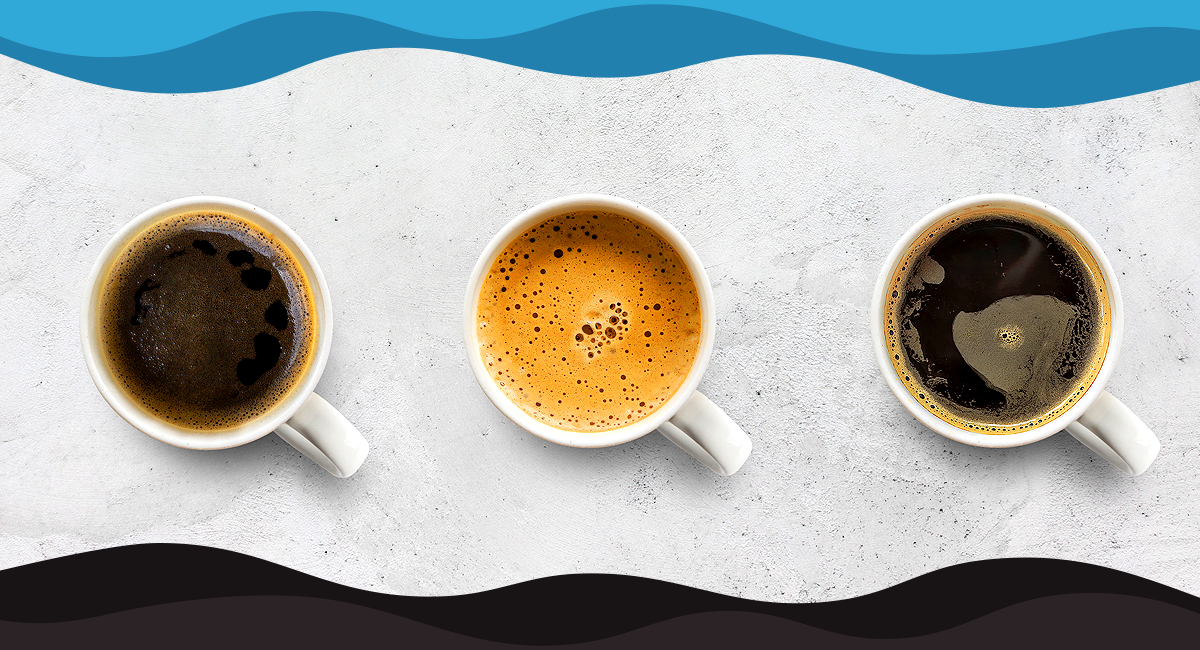 Arabica vs. Robusta: Key Factors to Help You Decide