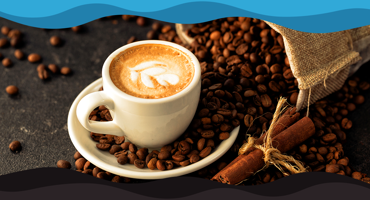 Expertise in Helping You Source The Best Coffee