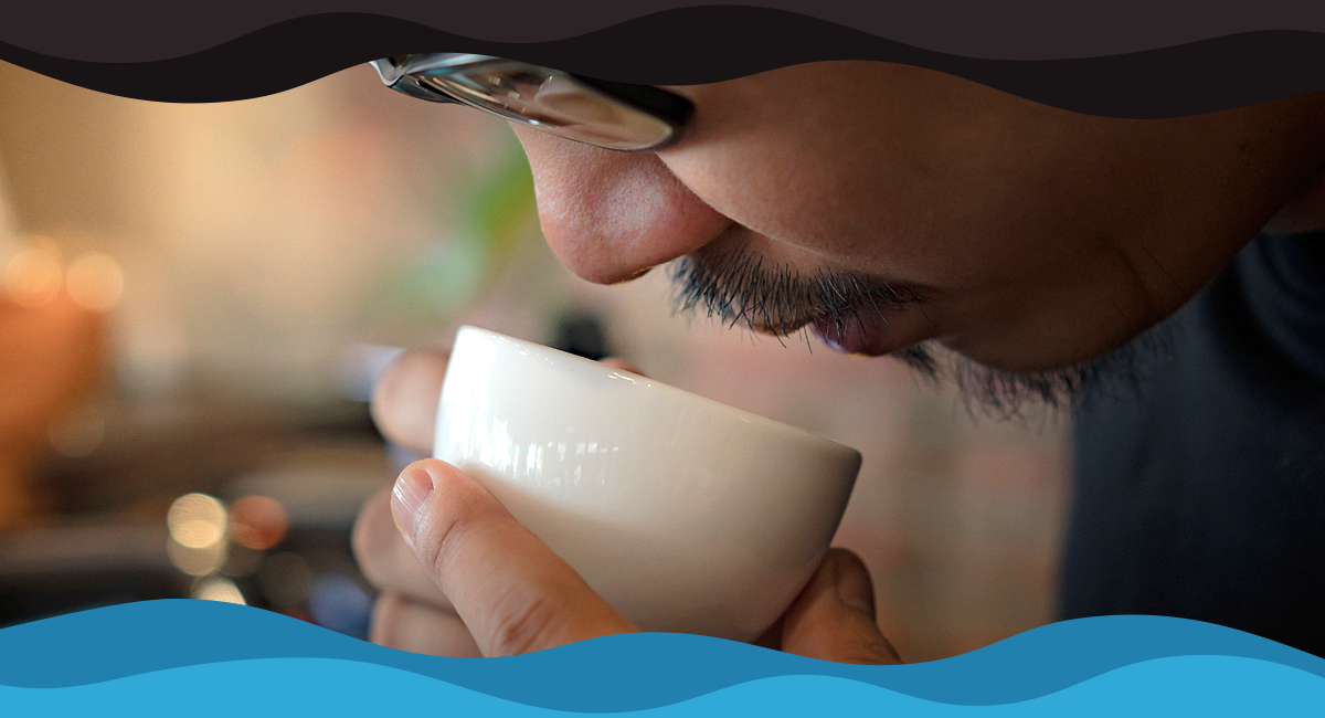 Why Coffee Tasting Is a Valuable Skill