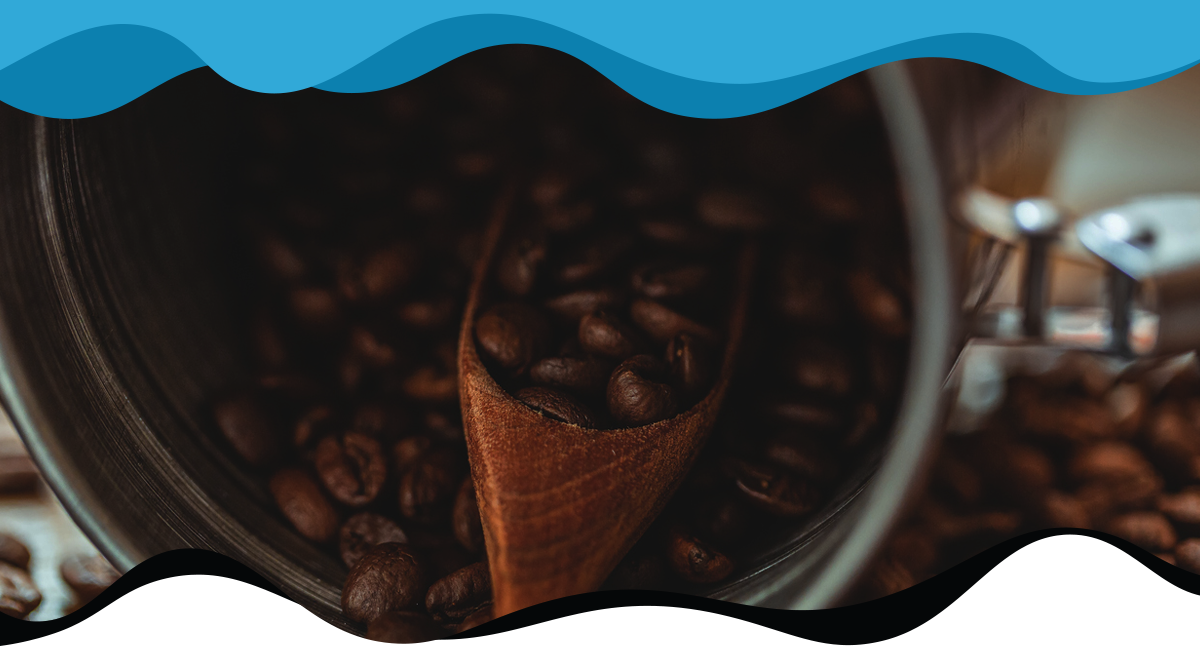 How long do coffee beans last?