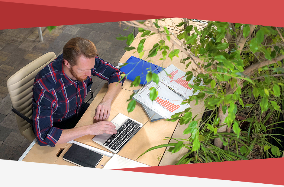 Greenery & Biophilic Design