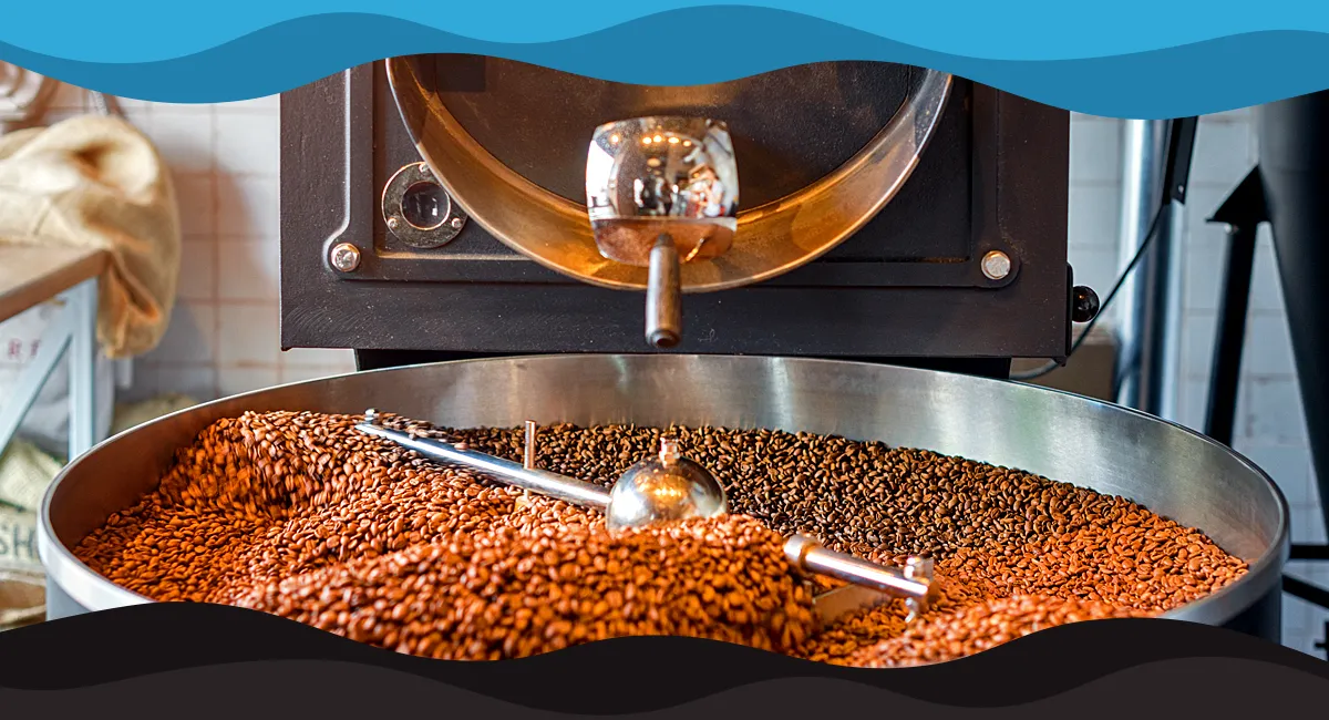 Key Elements That Define Coffee Bean Quality