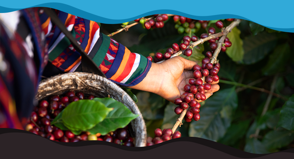 The Ethical Foundations of Fairtrade