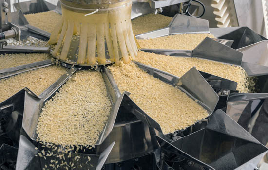 Commercial food processing discount