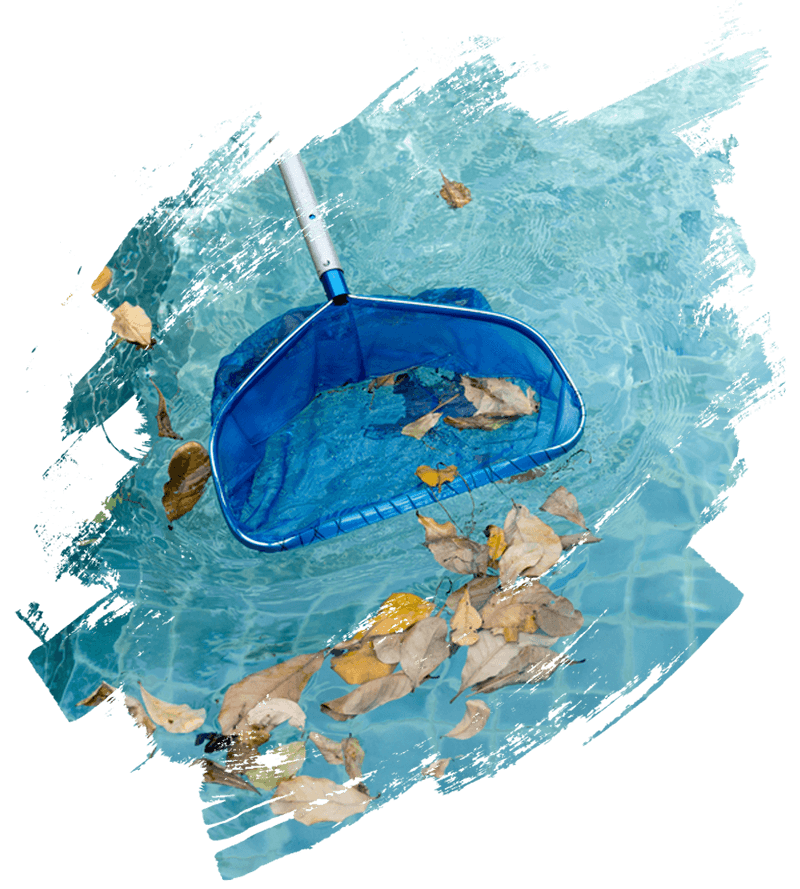 Swimming Pool Tile Cleaning Guide