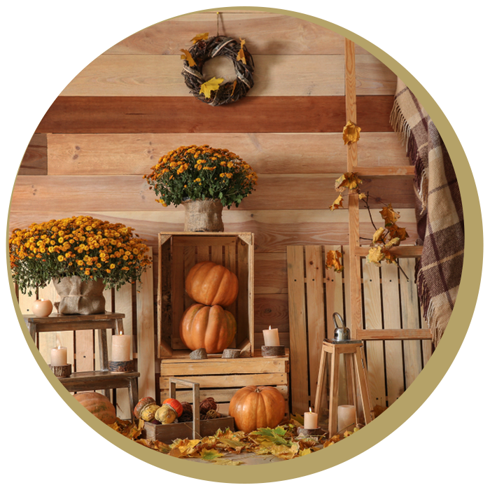 Gift Shop Window Display Ideas Widdop & Co